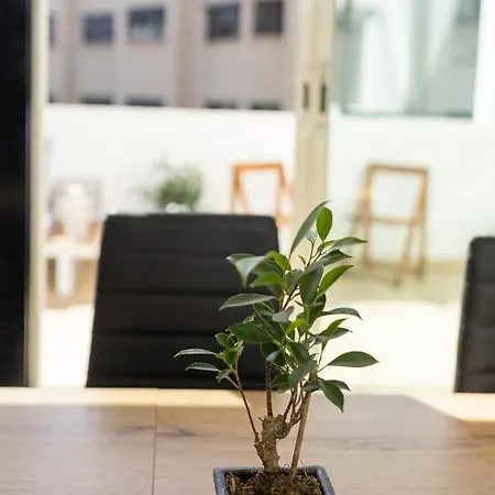Un Lugar House - Coliving *